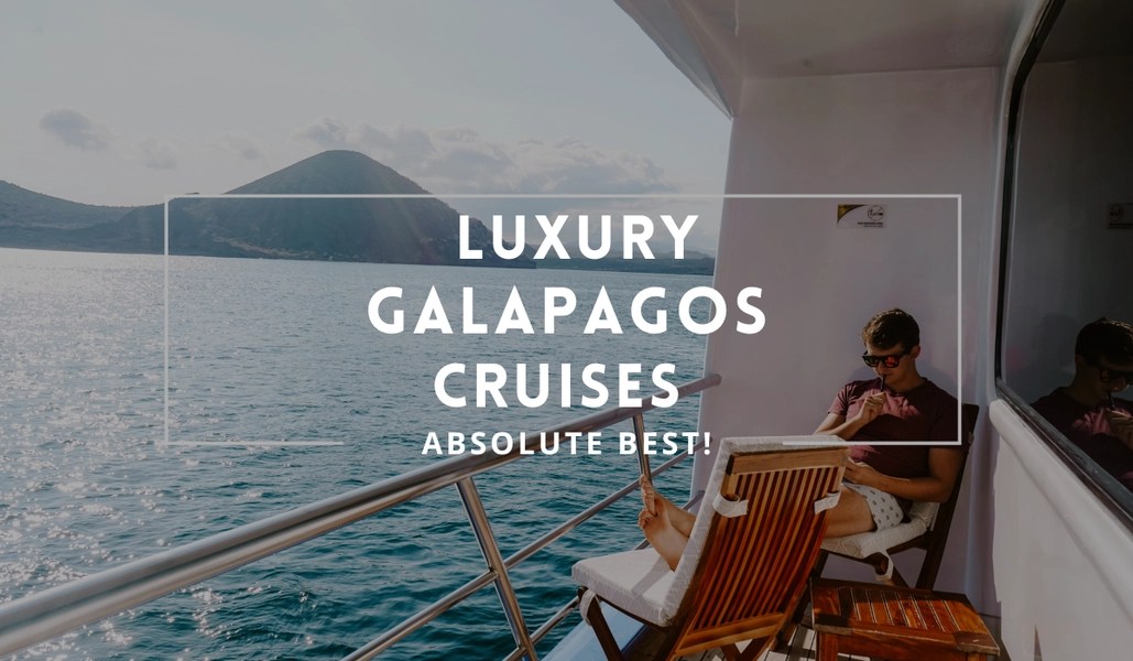 5 Best Luxury Galapagos Cruises To Choose From in 2023